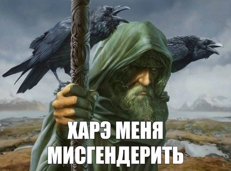 Я задремАлка вчера... Короче ребята, как вы думаете кто победил на вы… — Apka · Стрекоза