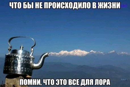 думаю за год неплохой лор вышел — wAs · Стрекоза