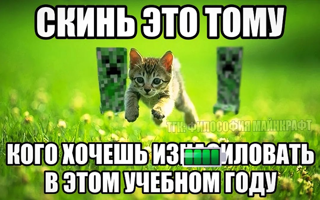 Стрекоза я тебя люблю — realmixaoc · Стрекоза