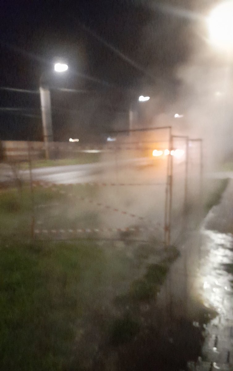Горячие источники... Интересно все же, каким образом этот иммунитет у… — Govnonalopate · Стрекоза