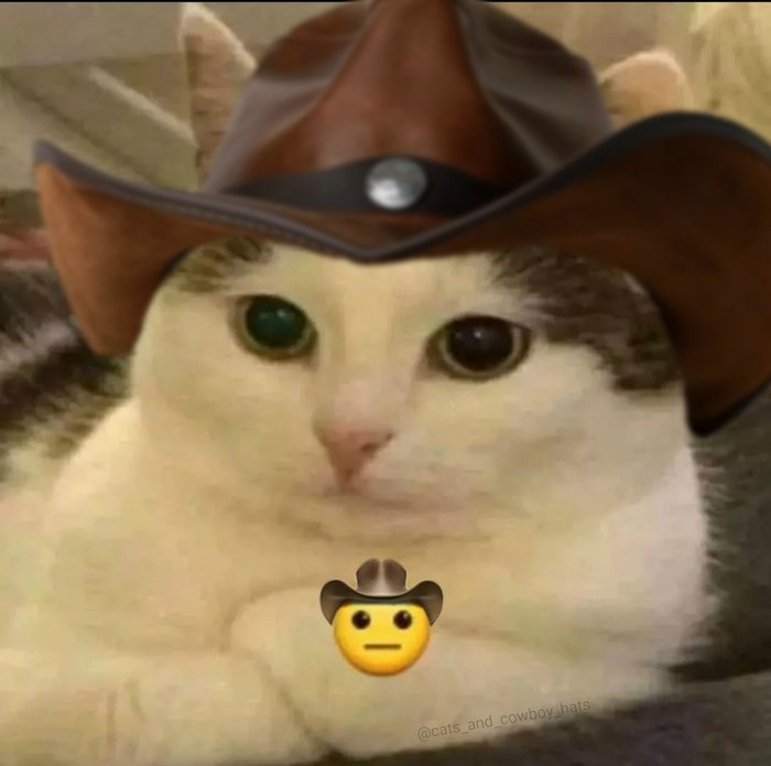 🤠 — Ковбойчики 🤠 · Стрекоза