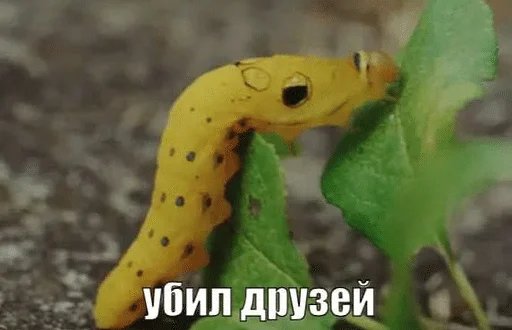 я живу в ИКС минут ходьбы от сто семьсят пятой гимназии — Alisa_Uzhakova · Стрекоза