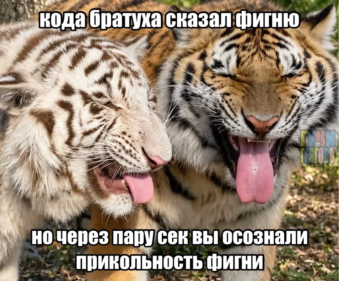 Так называемая ржака анд приколс — Крутые типочки ГГ! · Стрекоза