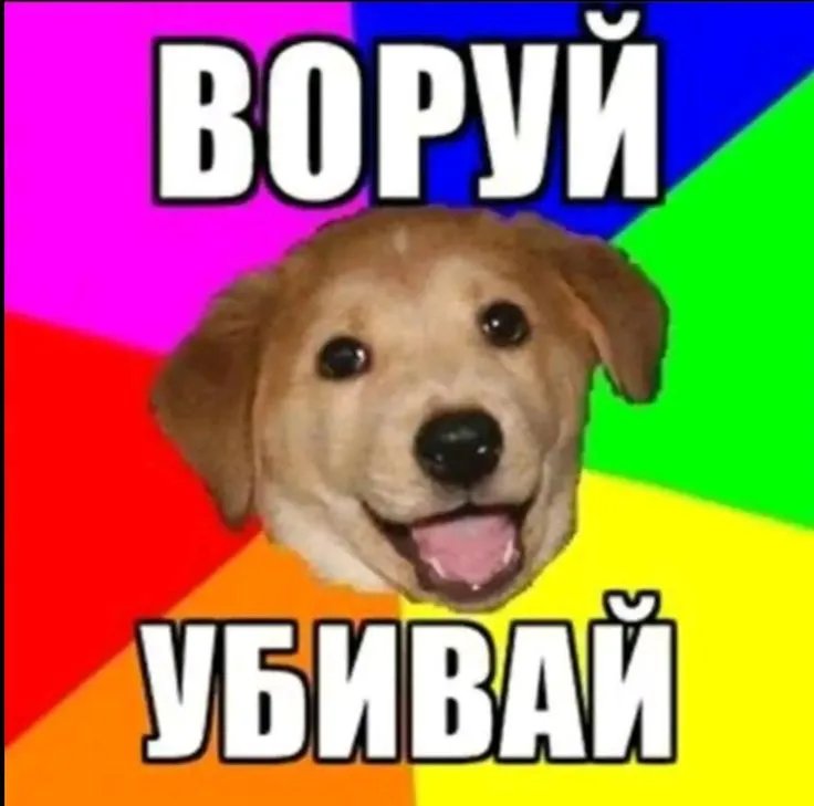 ЙОУ СТРЕКОЗА СТАВЬ ЛОСЯ ЕЛСИ ВАЩЕ ЖИЗАААААААА — паблик для дуще8нопахахахахахаххахахахаахахахахахахапхаха · Стрекоза