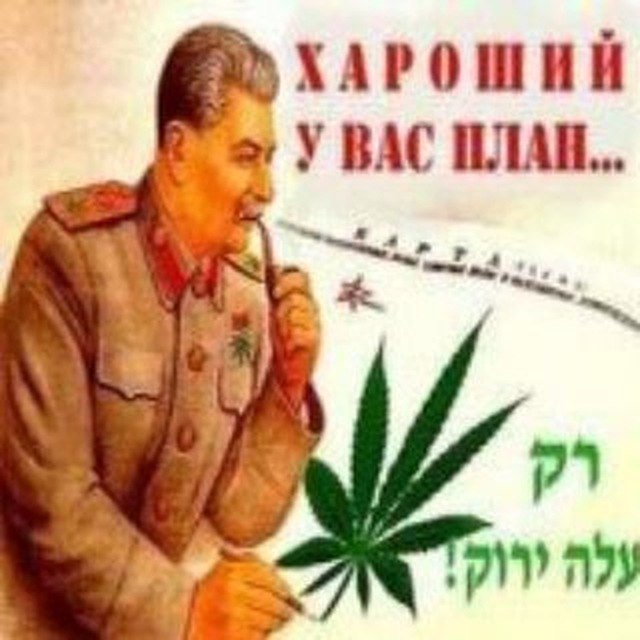 3 картинки на сегодня — M1RARAR · Стрекоза