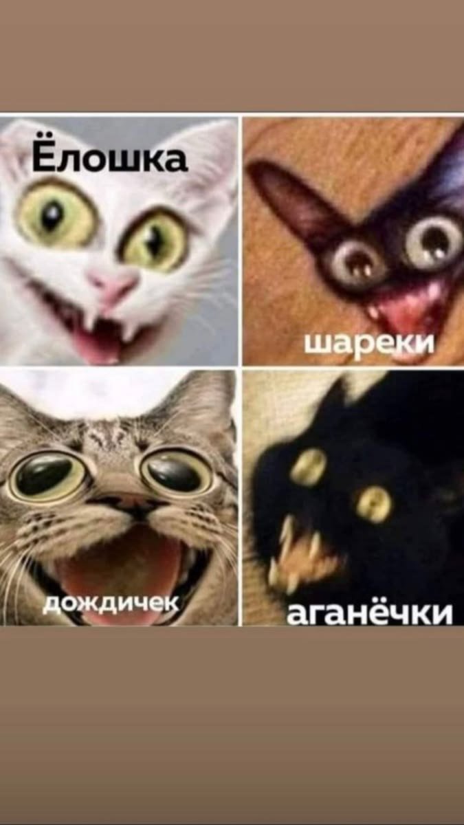 Мне не смешно с 95% ПрИкОлОв что здесь постят, но с этих размытых мос… — DeltaDi · Стрекоза