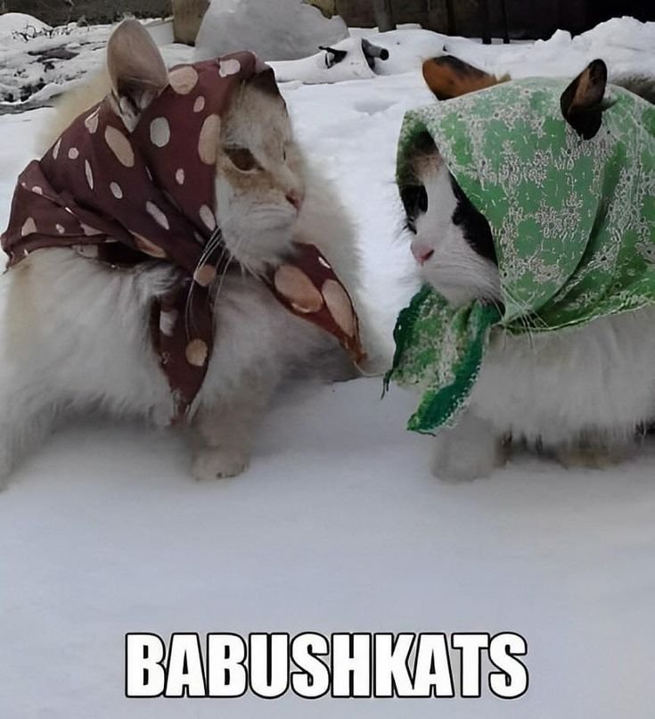 Я и бебебубу пока она была тут с нами, я с ней вам как бабка промывал… — DeltaDi · Стрекоза