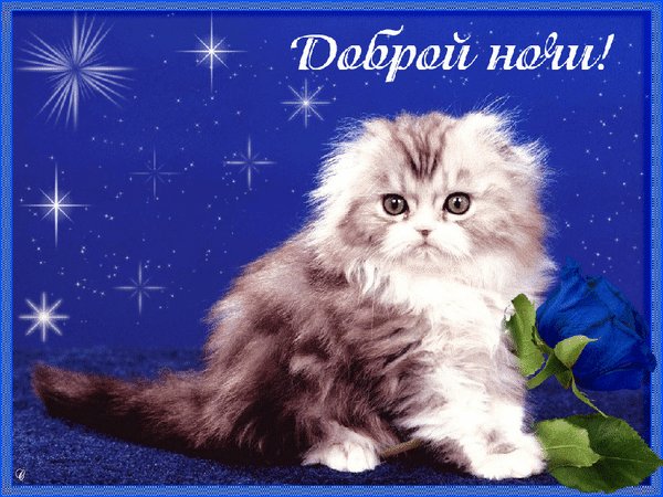 все тепер точно спю. ДОБРОЙ НЧИ СТРЕКОЗНЯ ЛЮБИМАЯ — emiliaaoaa · Стрекоза
