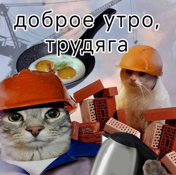 всем доброго утра. хорошего вам дня учёбы, работы, всего хорошего — Solnishko · Стрекоза