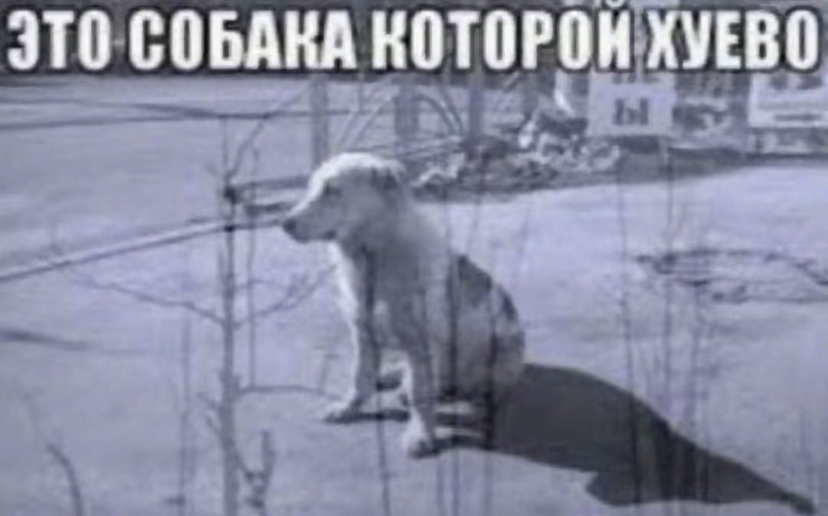 оказывается в моем корпусе работы прорвало трубу и у нас нету воды. с… — immemorial_silence · Стрекоза