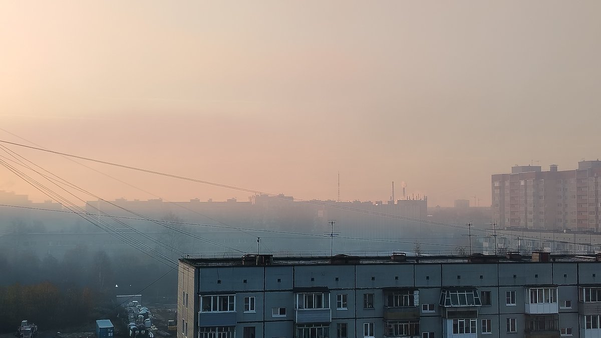 Доброго утра, дня, вечера и ночи! — Murmit · Стрекоза