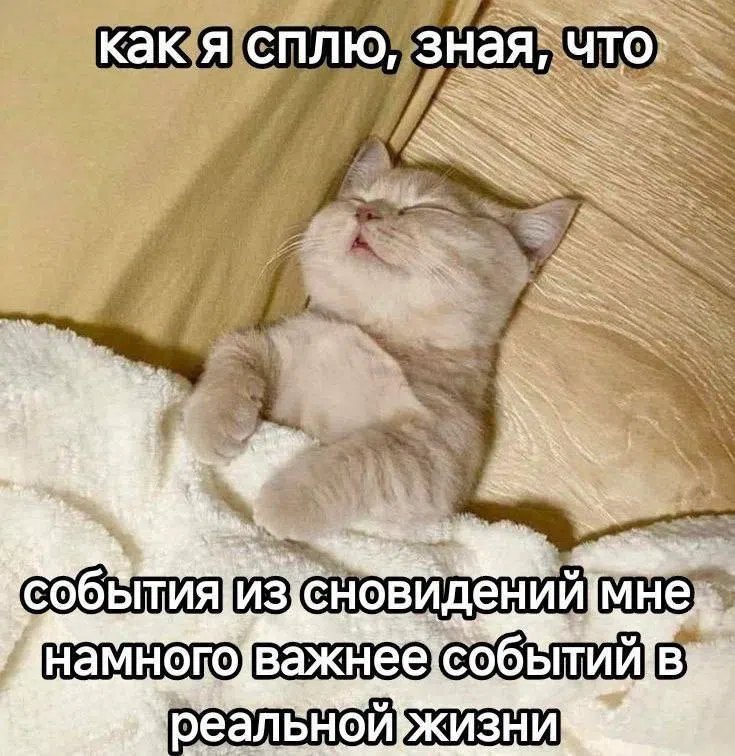 блин, мне что-то снилось такое прикольное, но я забыл что — Werfa · Стрекоза