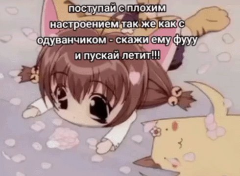 С добрым утром, стрекоза! — chitoray · Стрекоза