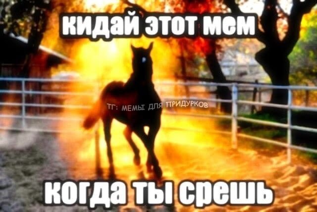 Еду в автобусе, как у вас дела — rgnrsOverdose · Стрекоза