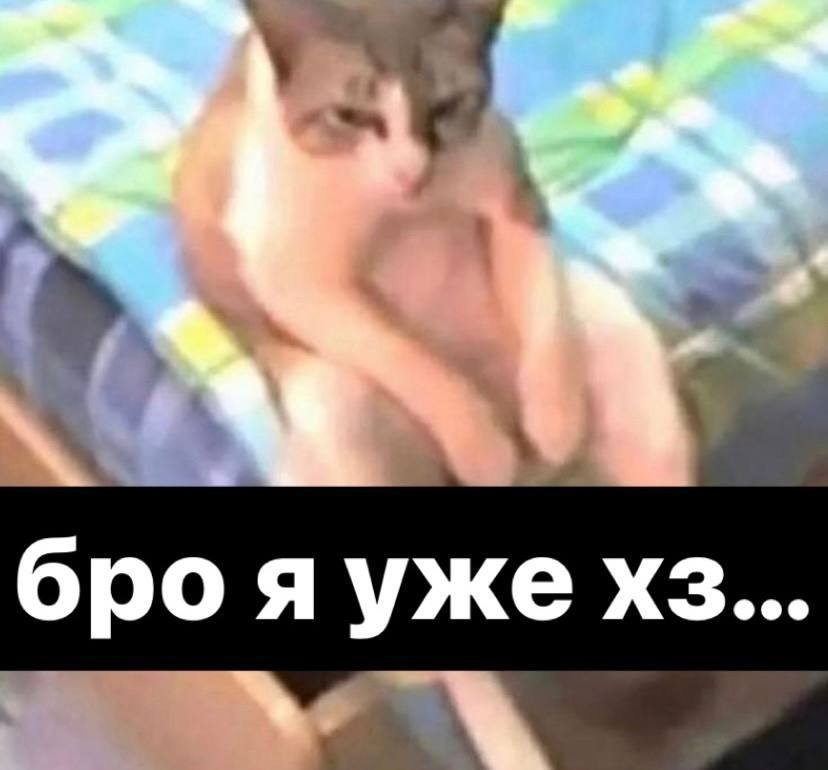 Да чего вы? Посмотрите на меня, 10 и 11 класс закончил, хуево написал… — Oklahoma_Mixer · Стрекоза