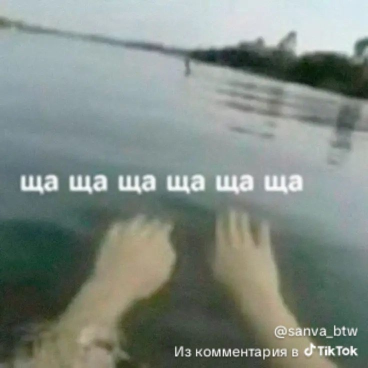 щащаща — n0cta · Стрекоза