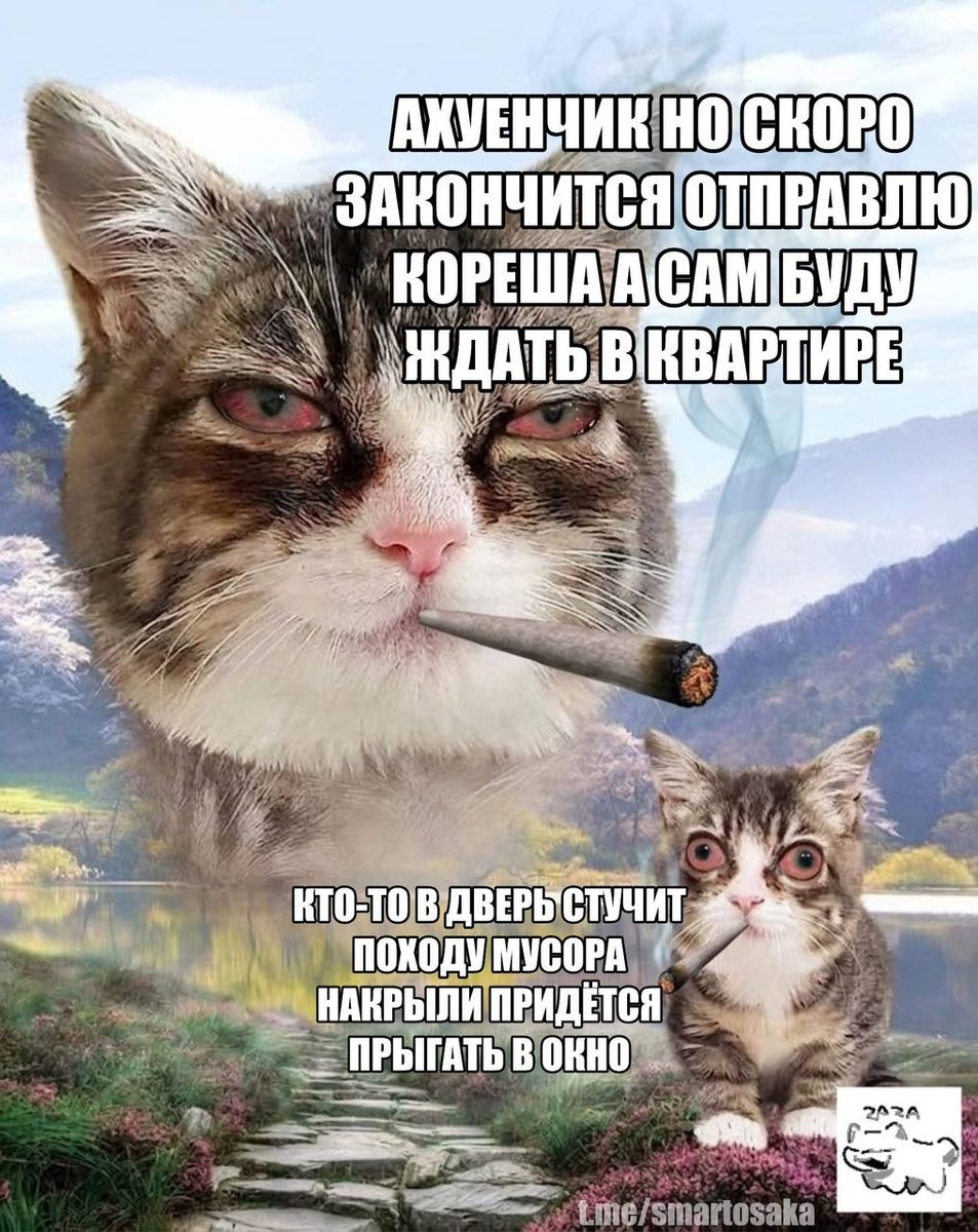 всем стрекозиным психонавтам посвящается — Hermetik · Стрекоза