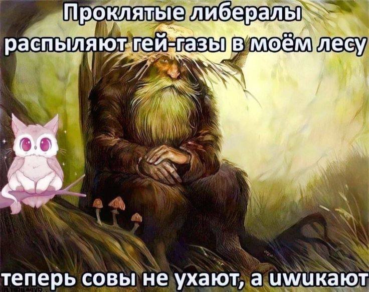 Пролайкивая посты Айтерра, я доказываю то что я соевый левачок, толер… — Muscat_Moose · Стрекоза