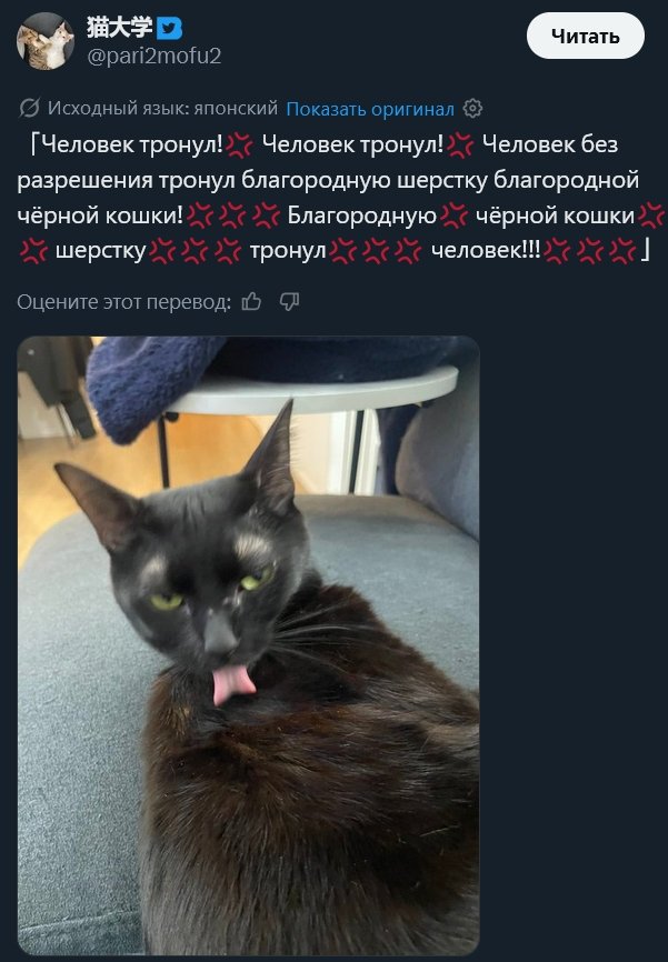 ЭТо буквально вся моя жизнь ванючая блин — PUCHURAPUCHURAPUCHURA · Стрекоза