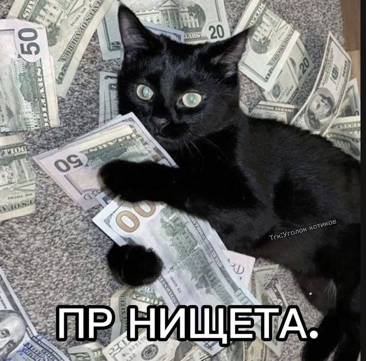 Вот это мини дополнение к тем постам про котов. Аитер со своими кажды… — DeltaDi · Стрекоза