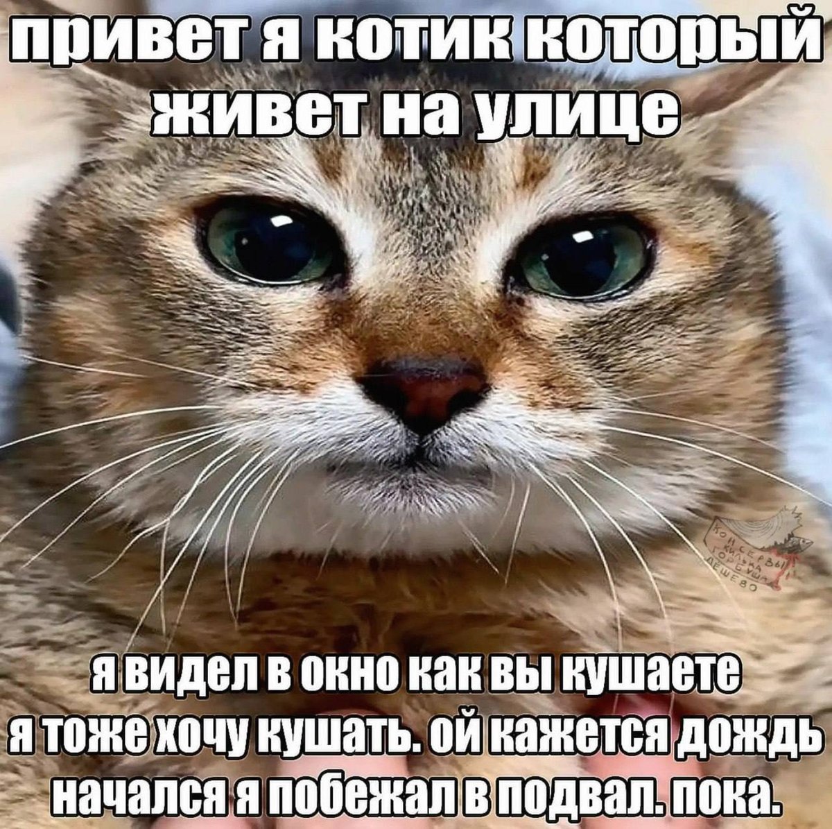 Интернет глушат пидоры — M1RARAR · Стрекоза