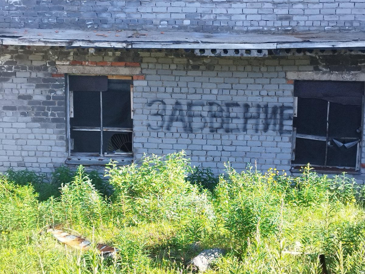 Рыбачий — Www_Q_wwW · Стрекоза