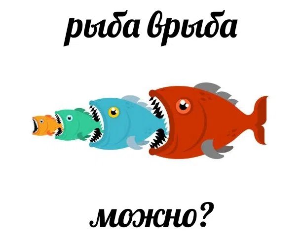 Заходите в сообщество Мемы про котов (по ржать).... пж........ — UltraChpoker · Стрекоза