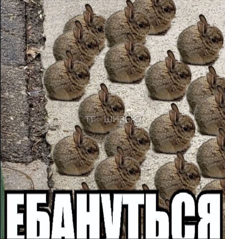 ЗЗЗААААЙЙЙЦЫЫЫЫ🤘 🤘 🤘 🎸 🎸 🎸 — Oklahoma_Mixer · Стрекоза