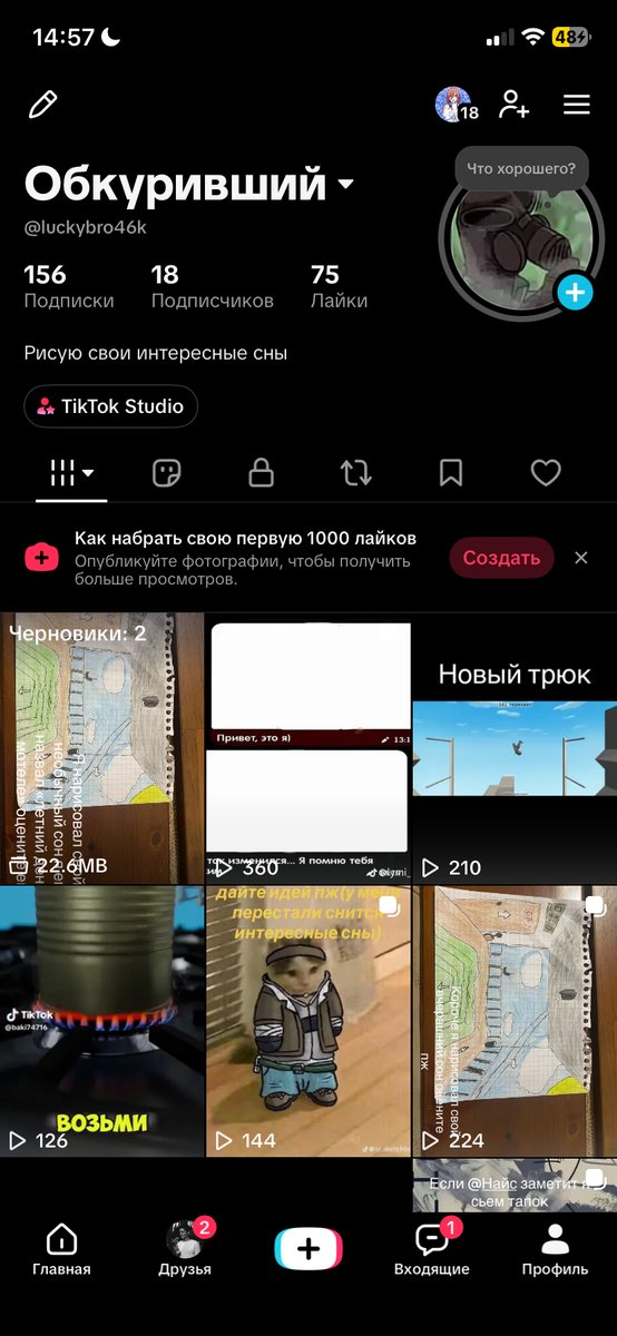 Короче я сделал тик ток акк заходите подписывайтесь хз — Pizkagriz228 · Стрекоза