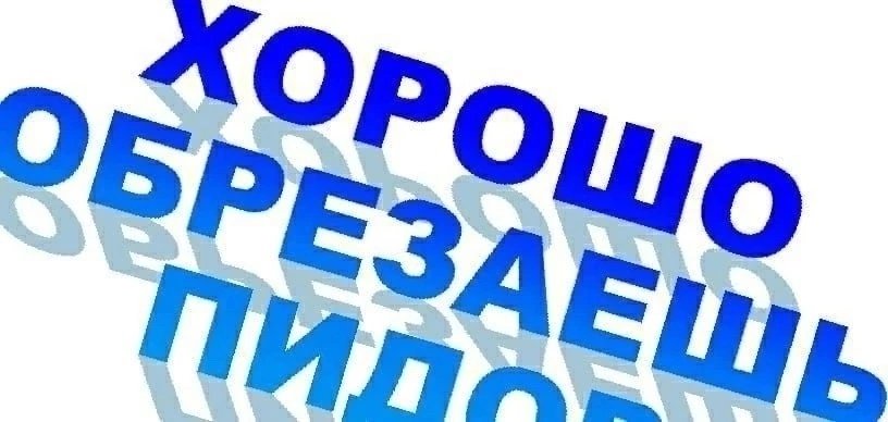 Моё обращение к eremintog — Oklahoma_Mixer · Стрекоза