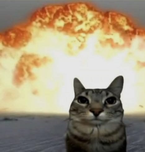 С чем у вас ассоциируются кошки? Вот у меня с жестокостью — Catarc · Стрекоза