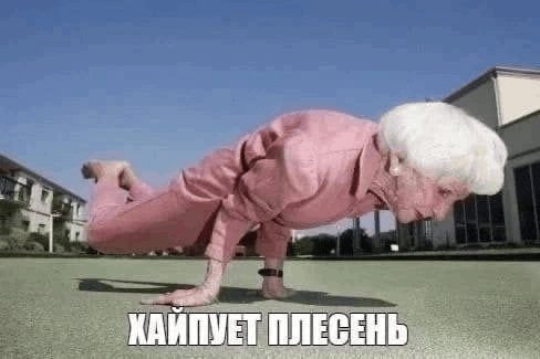ребят, зарегался тут, я теперь полный стрекозоид — SlavaWOW · Стрекоза