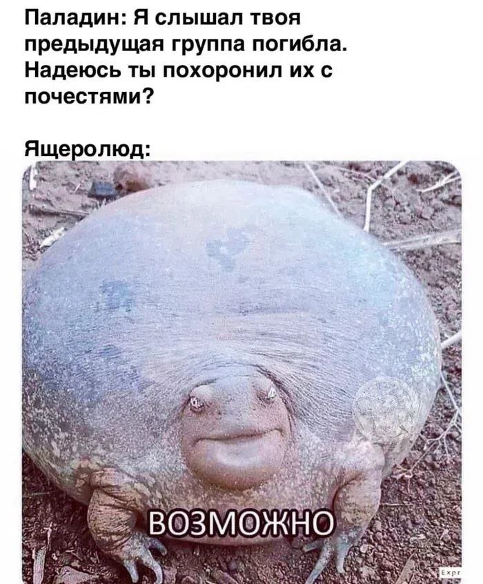 шарите за днд? — ganzhubas · Стрекоза