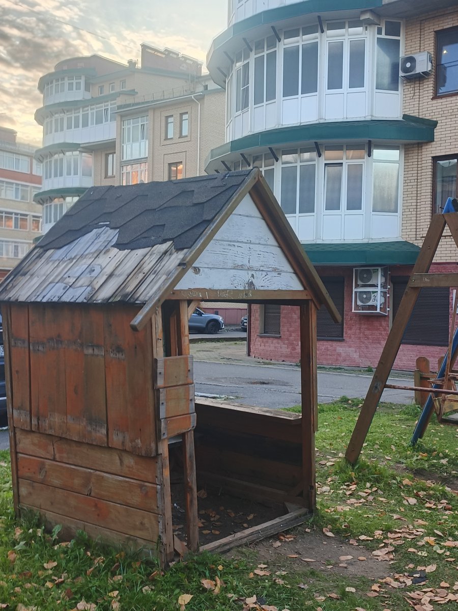 контраст некий — Sverloo · Стрекоза