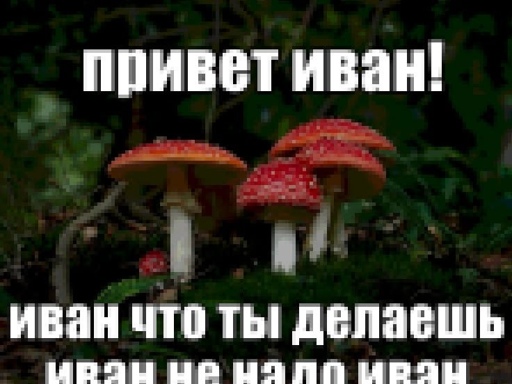 В детстве мне приснилось, что я прыгал по грибам 😍 — Чьи-то сны · Стрекоза