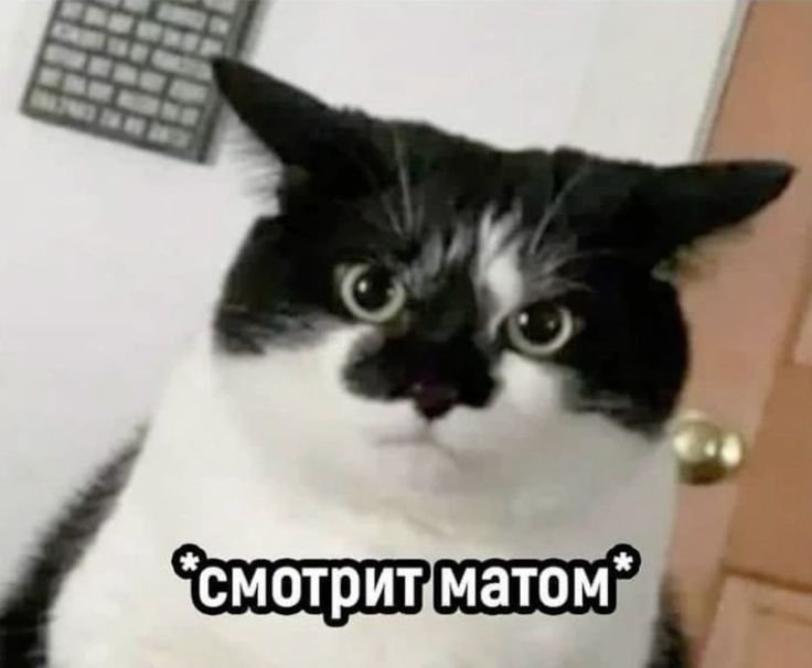 D183D0B1D0B5D0B9D182D0B520D18DD182D18320D0BCD180D0B0D0B7D18CD0B92C20D… — DeltaDi · Стрекоза