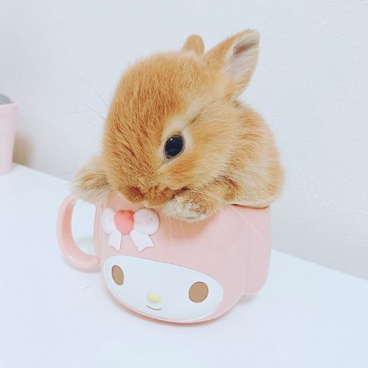 простити за маты я покушала теперь добренкья <33333 — emiliaaoaa · Стрекоза
