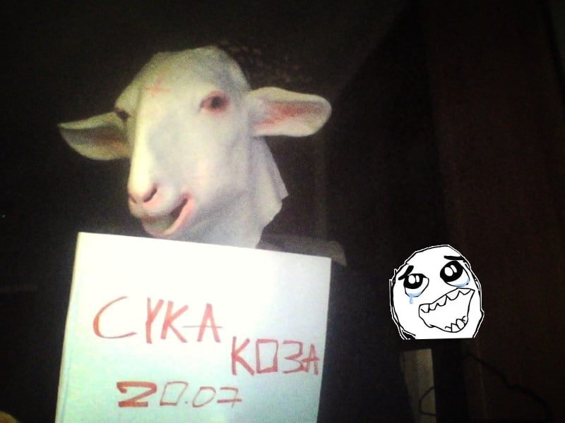 сука делаю сигны за $ (тугрики) на сигареты срочно!!!!!!!!!!!!!!!! пи… — K03A · Стрекоза