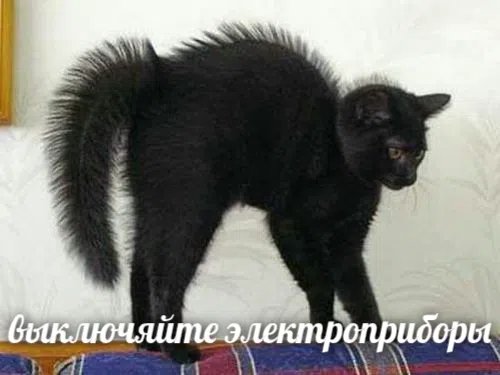 Прибор для беспокойного сна, цвет негар, арктикул 56692 — Мемы про котов (по ржать) · Стрекоза