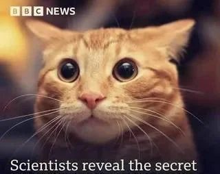 Прикиньте короче сделать мифологические сюжеты про современность, тип… — csenone · Стрекоза
