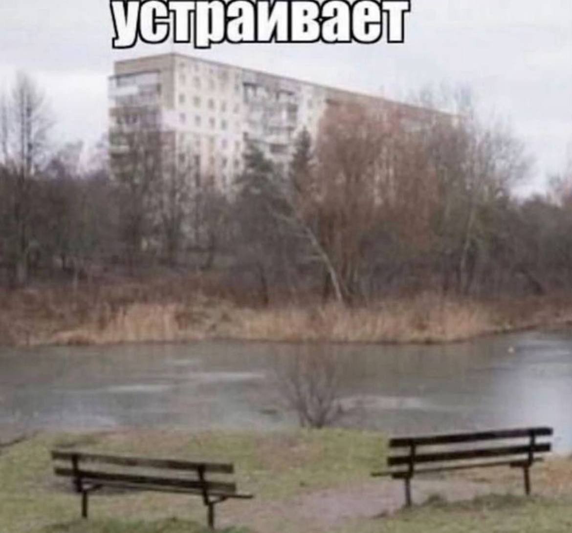 приветики пистолетики — mbbokay · Стрекоза