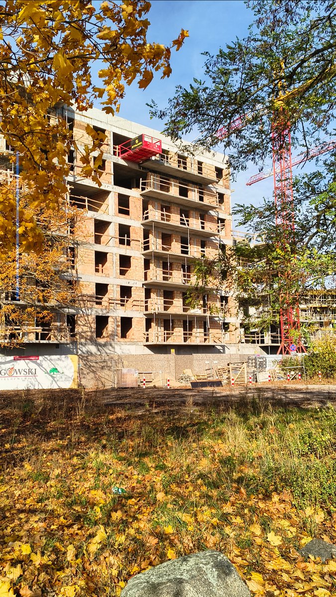 Немного строительных вайбов — Всякая всячина · Стрекоза
