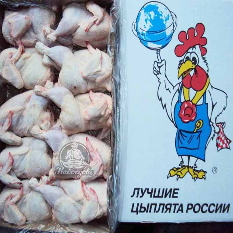 Новореги здорового человека. — Alisa_Uzhakova · Стрекоза