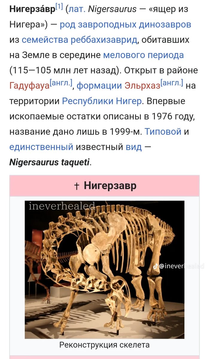 Читал я значит Википедию — Pizkagriz228 · Стрекоза