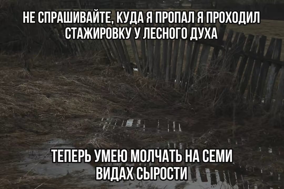 Полезные навыки на стрекозе — gerbariyy · Стрекоза