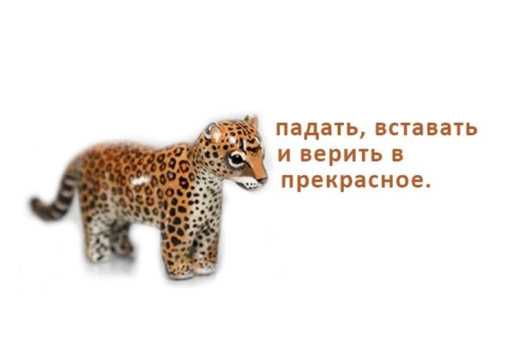 МАНДАРИН я запрещаю тебе самоубиваца. вам всем запрещаю самоубиваца.… — emiliaaoaa · Стрекоза