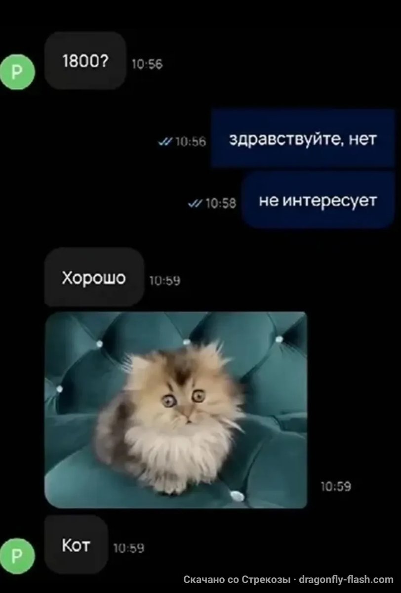 Гнег не простит смешные мемы — dobriy_bros · Стрекоза