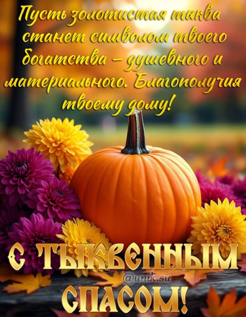 голова человека весит меньше средней тыквы. грязь с тыквы мы пугаем с… — DerPnATor_1998 · Стрекоза
