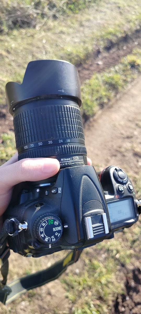Эта хуйня перестала фоткать сразу же как я пиздатый вид увидел — gerbariyy · Стрекоза