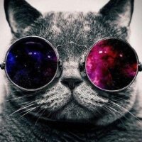 всем привет сегодня вот в таких крутых очках всем спасибо спокойной н… — awokeless · Стрекоза